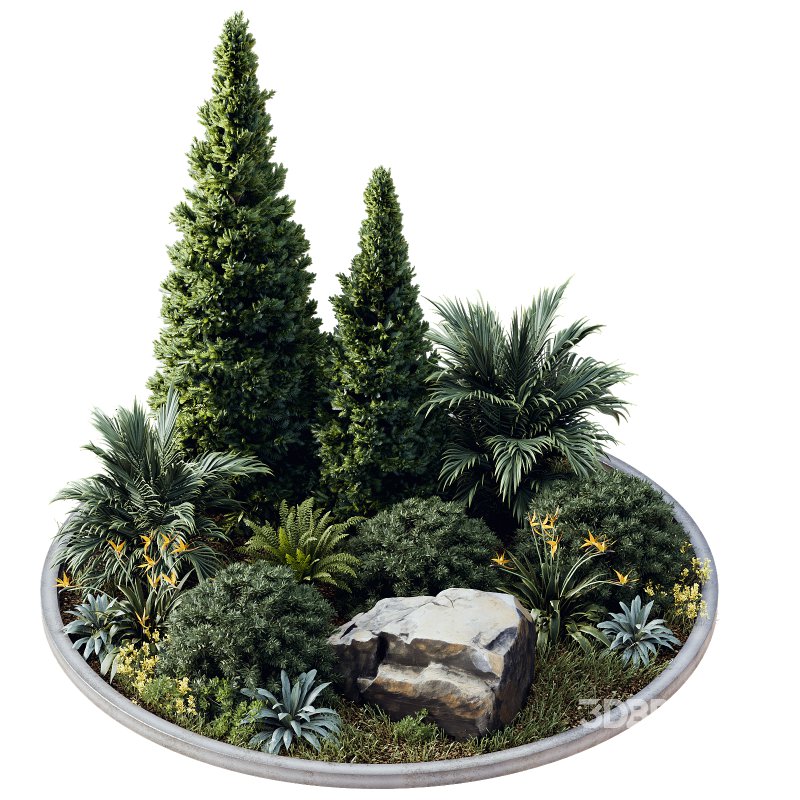 Outdoor Plant 41 Image 1