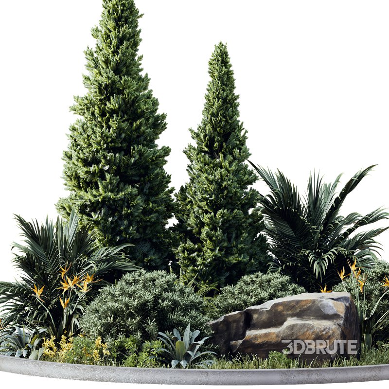 Outdoor Plant 41 Image 3