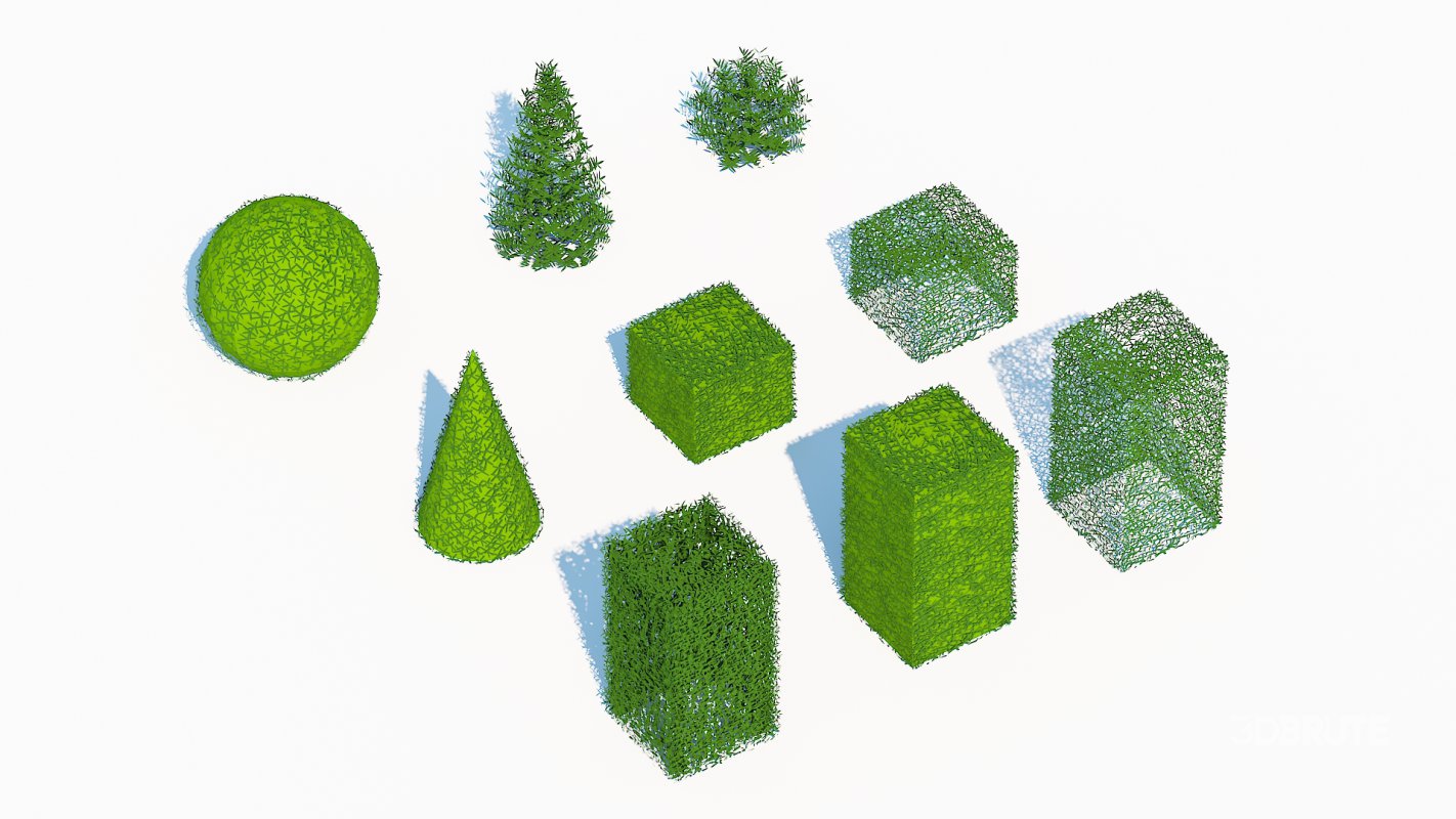 Taxus Media Multiple Size and Shape Image 1