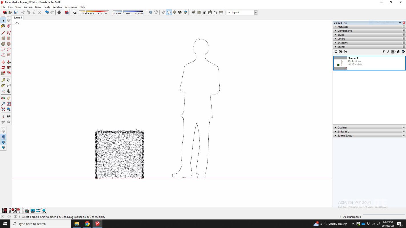 Taxus Media-Square Image 6