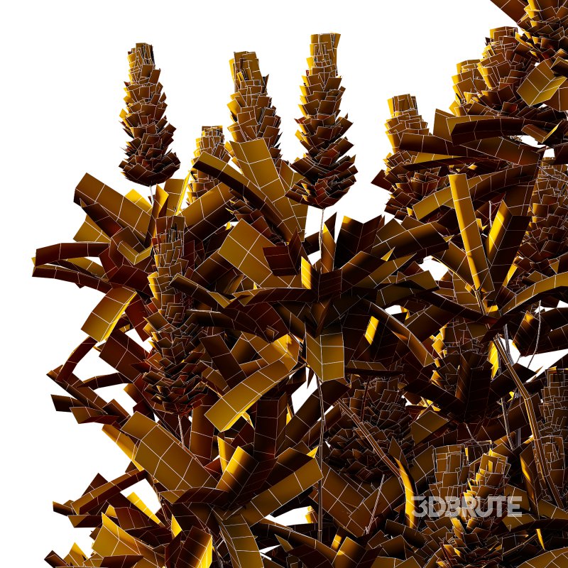 Different Trees 01 Image 7