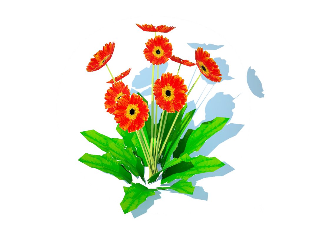 Gerbera – Gerbera Daisy_Orange_Flower Image 2