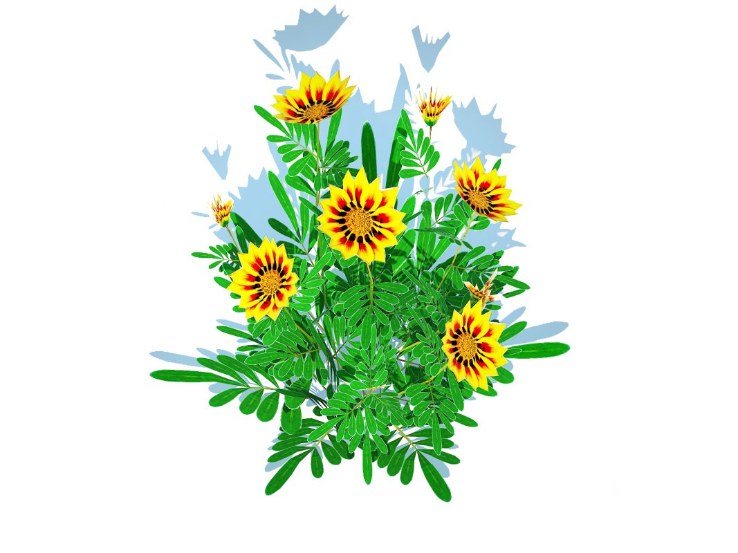 Gazania rigens Daybreak Yellow Image 4