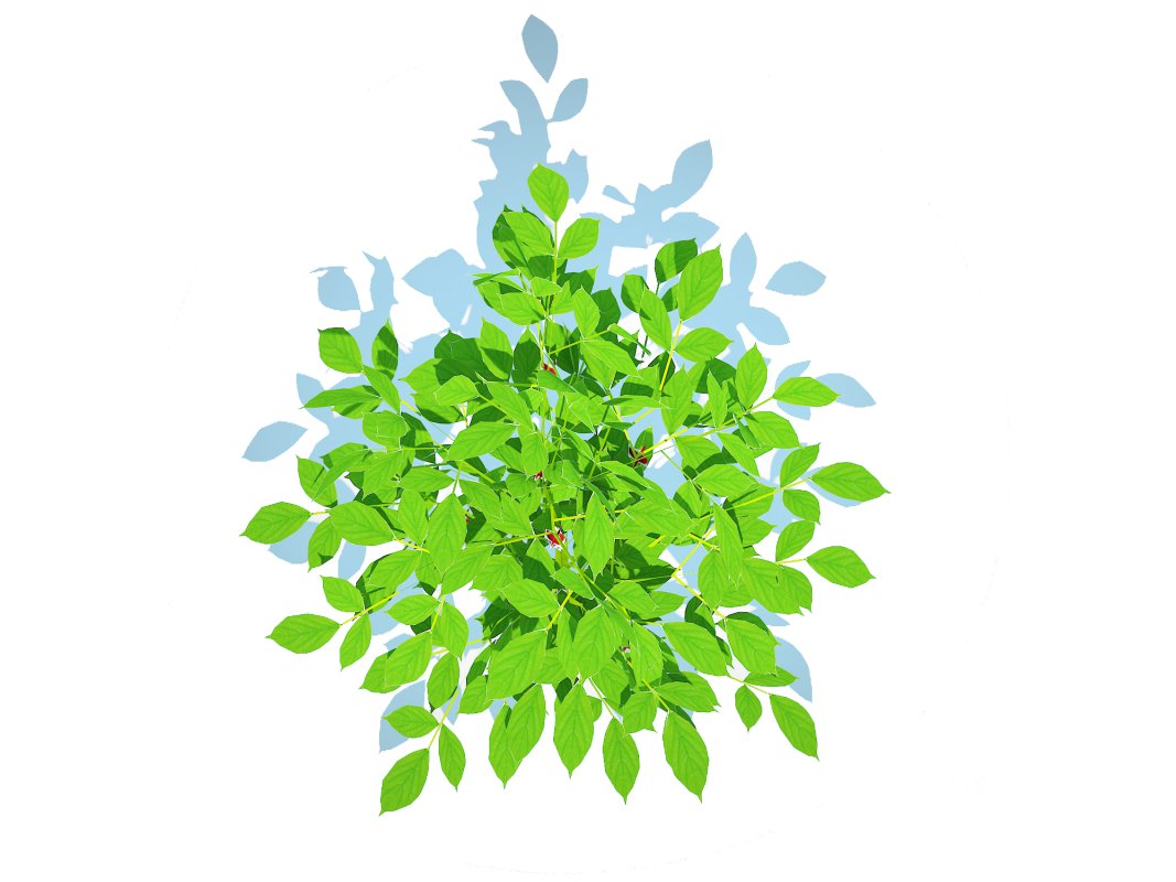 Bell Pepper-red Image 4