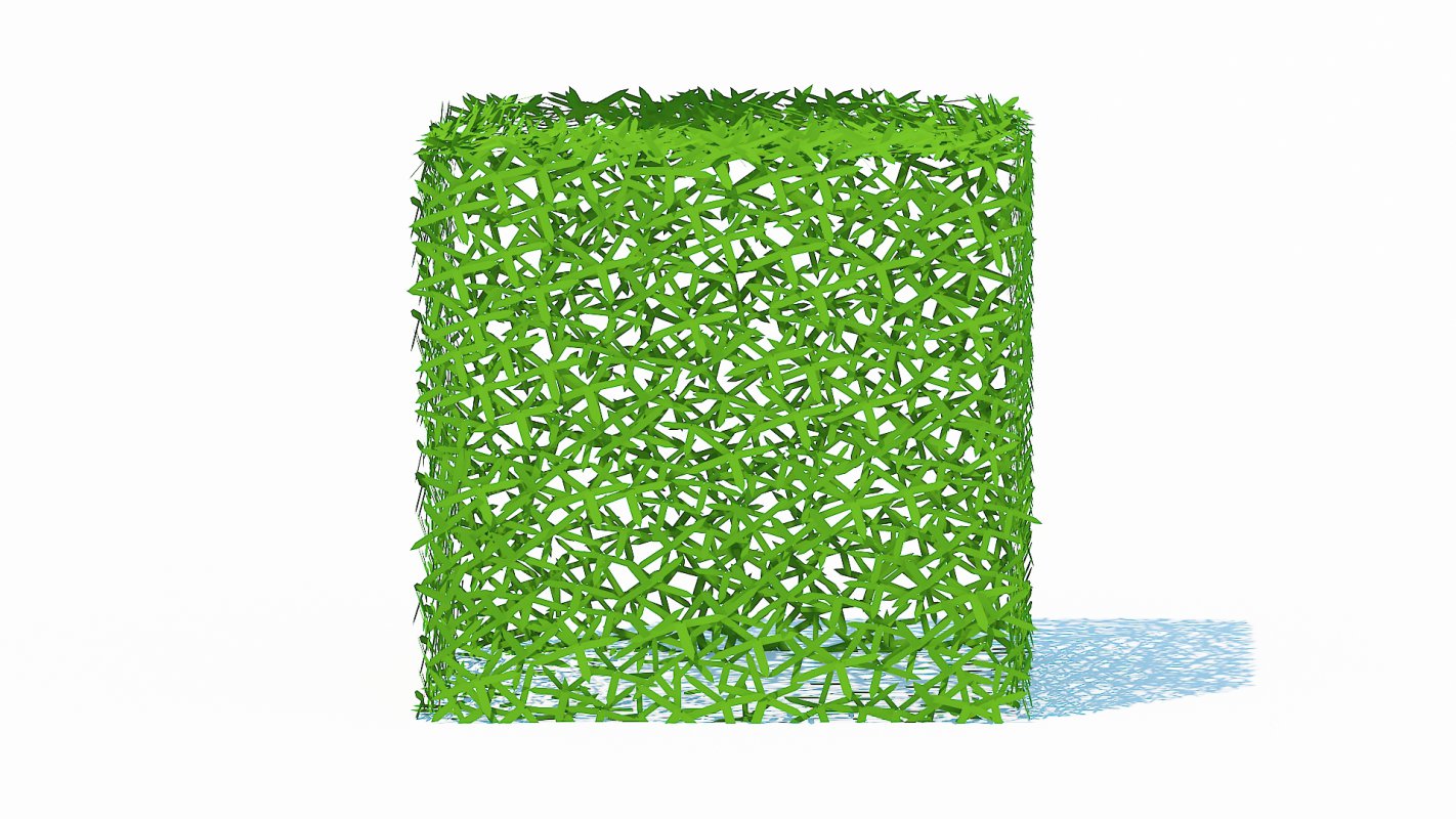 Taxus Media-Square Image 3