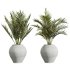 AV Indoor Plants Set 231 Dypsis Palm and Fruit Orange Tree and Mission Wilsonii Olive and Areca Palm - Thumbnail 1