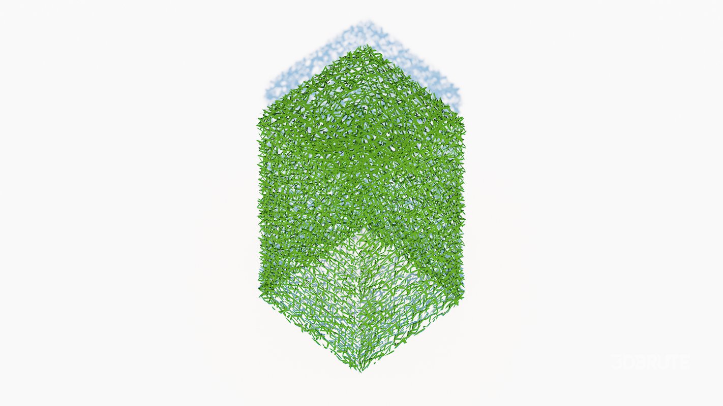 Taxus Media-Upright Image 4