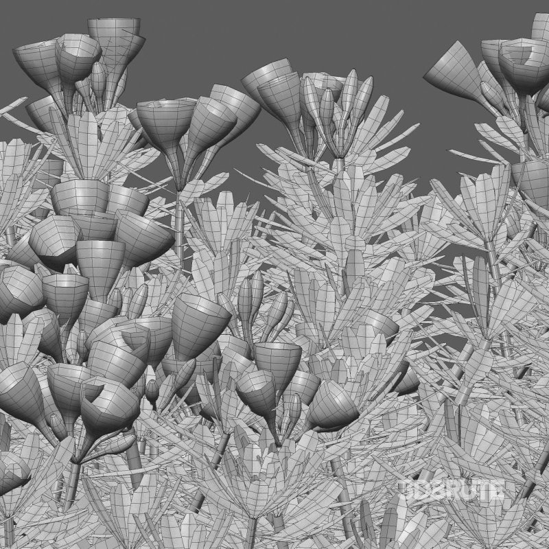 Daphne x transatlantica Blafra – Eternal Fragrance 01 Image 6