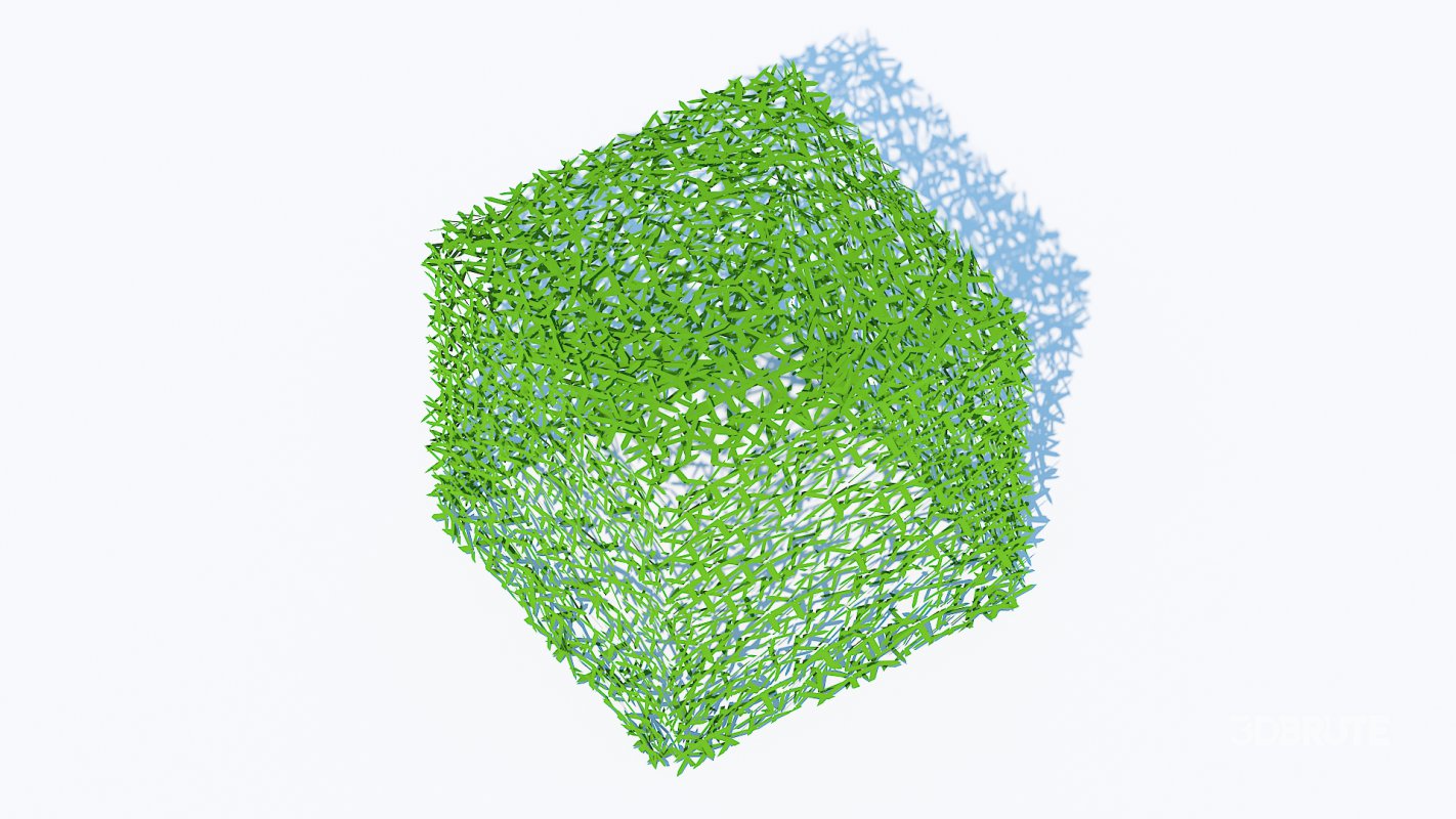 Taxus Media-Square Image 4