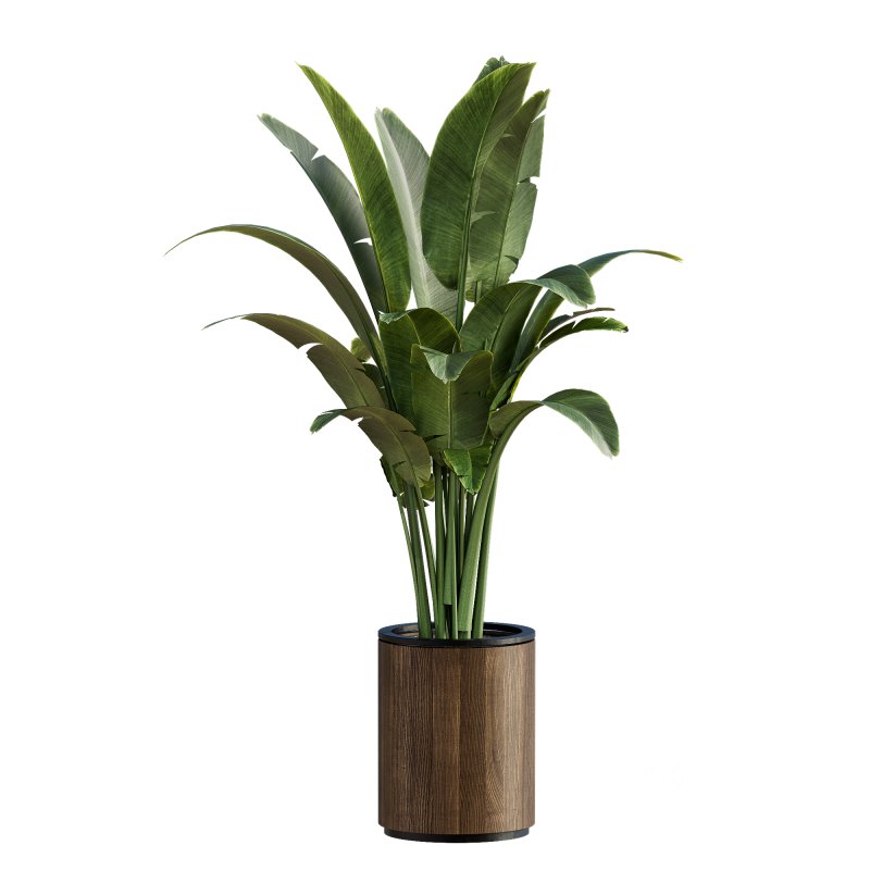13 High Quality 3D Pot plants Image 14