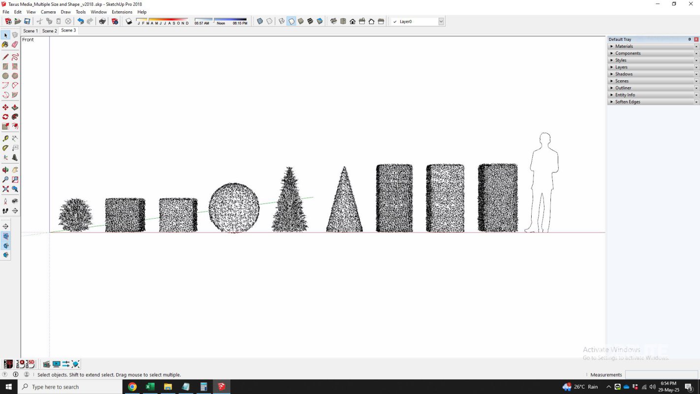 Taxus Media Multiple Size and Shape Image 8