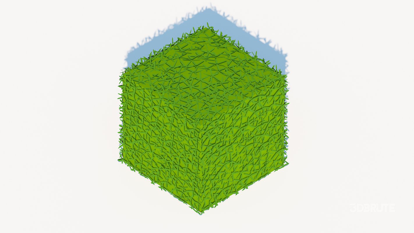 Taxus Media-Square Image 2