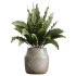 ntal plants, including Mission Olive Tree, Euphorbia Drupifera, Orange Fruit Bonsai, and Spathiphyllum Domino (Peace Lily). Each plant contributes a unique leaf structure and growth habit, while collectively forming a rich, natural ensemble perfect for calm, contemporary interiors. - Thumbnail 2