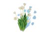 Tulipa – tulips White - Thumbnail 5