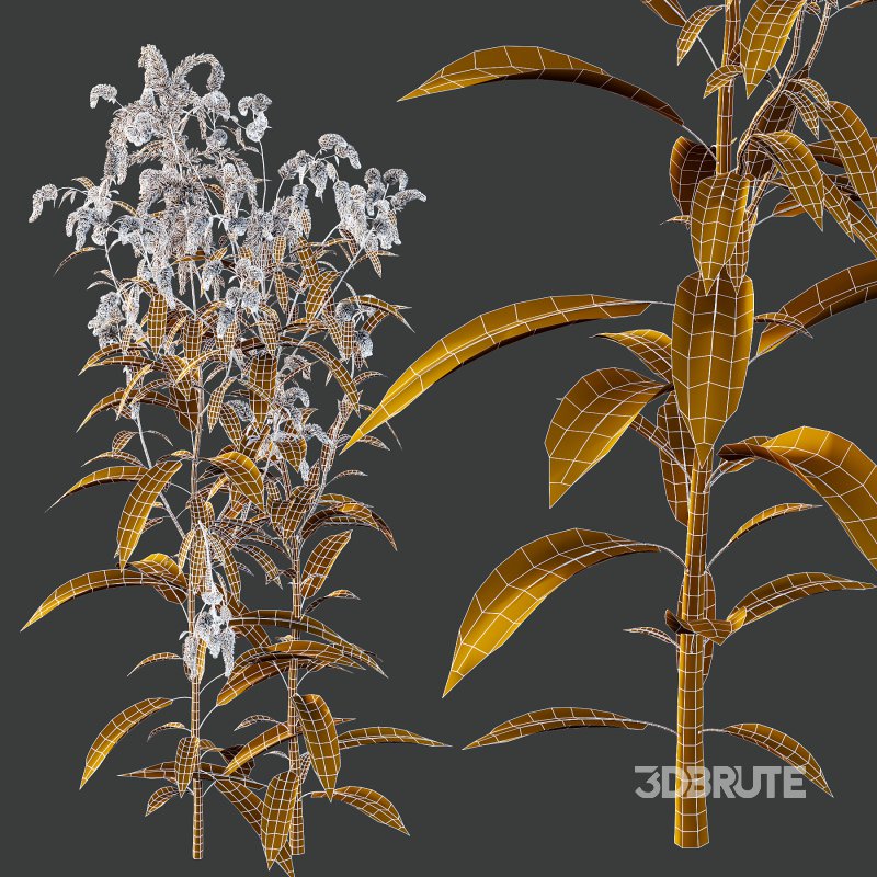 Different Grass 03 Image 6