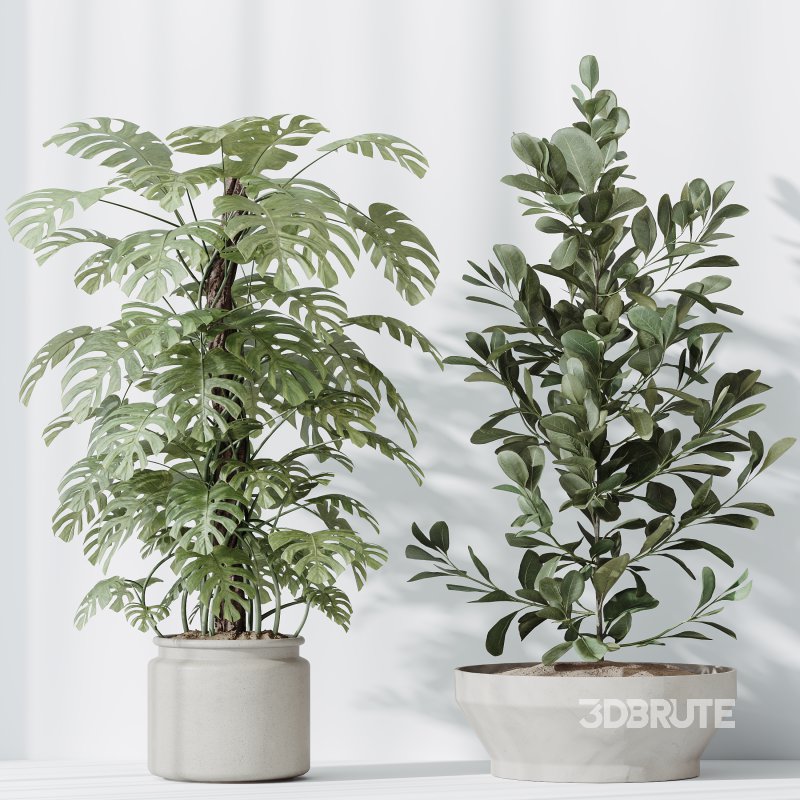 ntal olive—making this collection a visual statement for modern interior design. Image 6