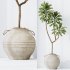 ntal plants, including Mission Olive Tree, Euphorbia Drupifera, Orange Fruit Bonsai, and Spathiphyllum Domino (Peace Lily). Each plant contributes a unique leaf structure and growth habit, while collectively forming a rich, natural ensemble perfect for calm, contemporary interiors. - Thumbnail 3