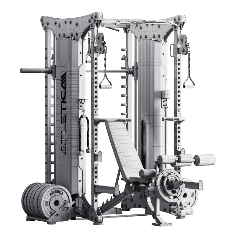 Dual Multipresse Image 9