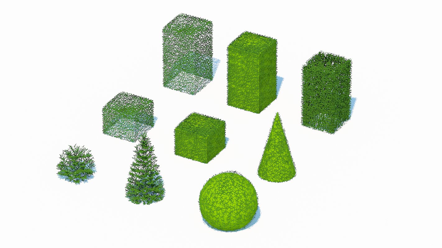 Taxus Media Multiple Size and Shape Image 4