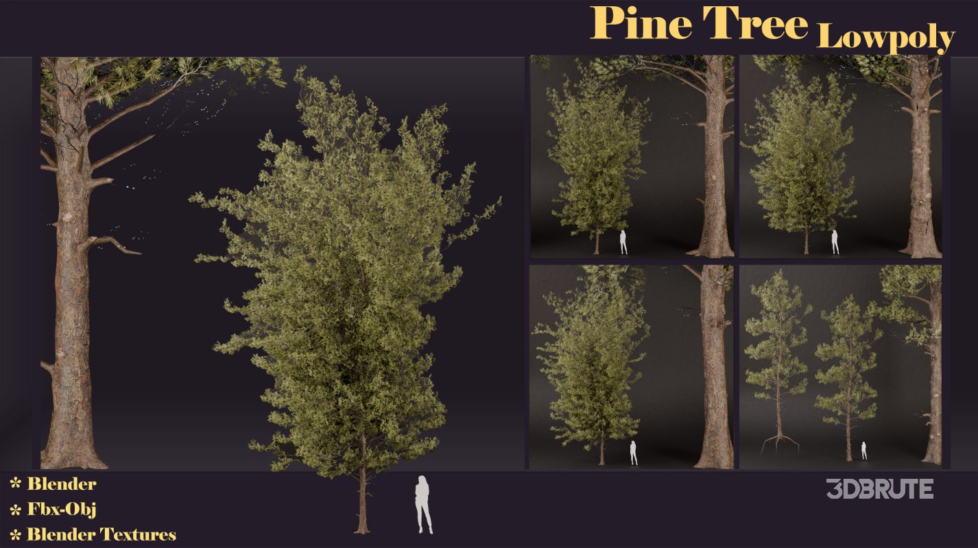 SJ lowpoly pine tree set 01 Image 5
