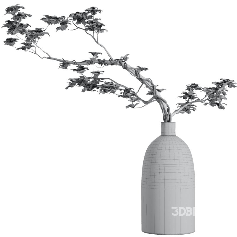 Dry branch set51 Image 5