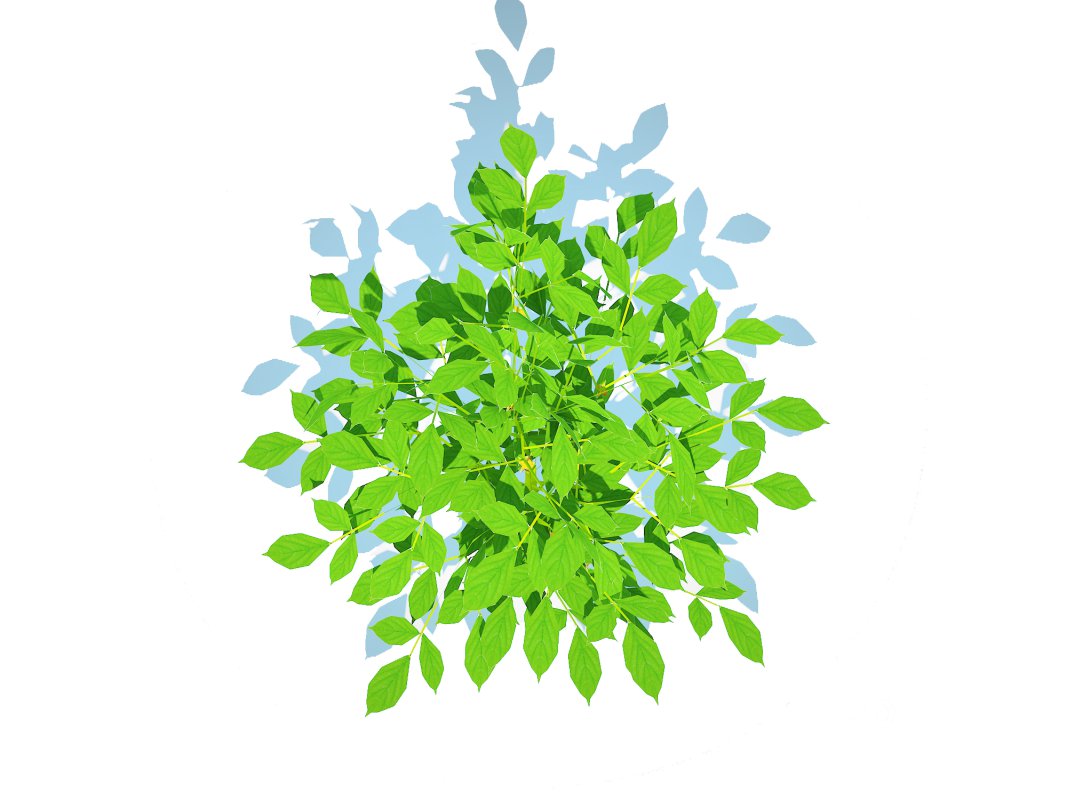 Bell Pepper-yellow Image 4