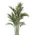 AV Indoor Plants Set 234 Areca Palm Lemon Lime Cane Dragon Zamiifolia Alocasia Eucalyptus - Thumbnail 2
