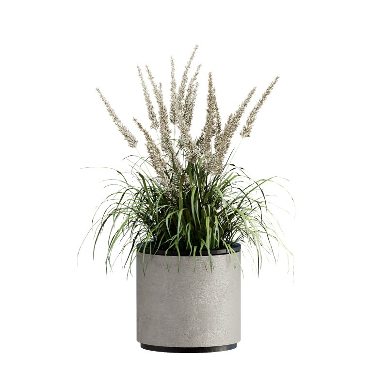 13 High Quality 3D Pot plants Image 11