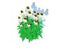 Echinacea – white coneflower - Thumbnail 3