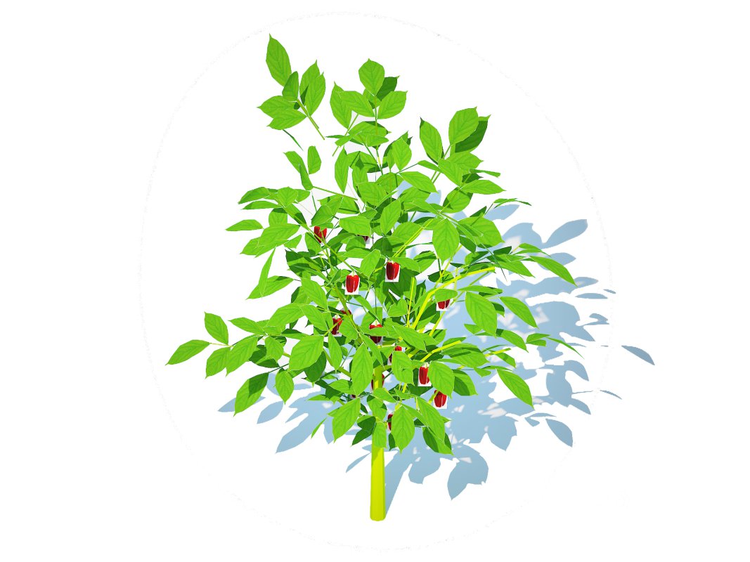 Bell Pepper-red Image 3