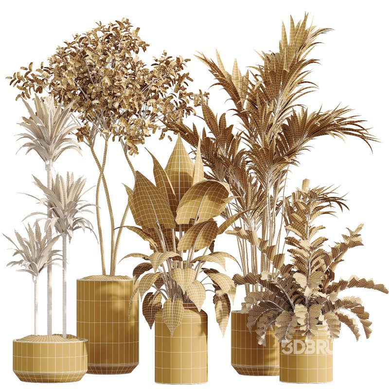 AV Indoor Plants Set 234 Areca Palm Lemon Lime Cane Dragon Zamiifolia Alocasia Eucalyptus Image 5