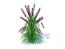 Pennisetum alopecuroides – Moudry Fountain Grass - Thumbnail 1