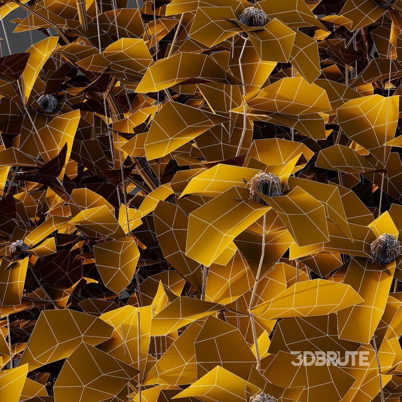 Different bush 08 Image 7