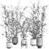 plants set - Thumbnail 4