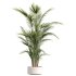 AV Indoor Plant Set 216 Olive Artificial Dracaena Warneckii Lemon Calathea Lutea Areca Palm - Thumbnail 2