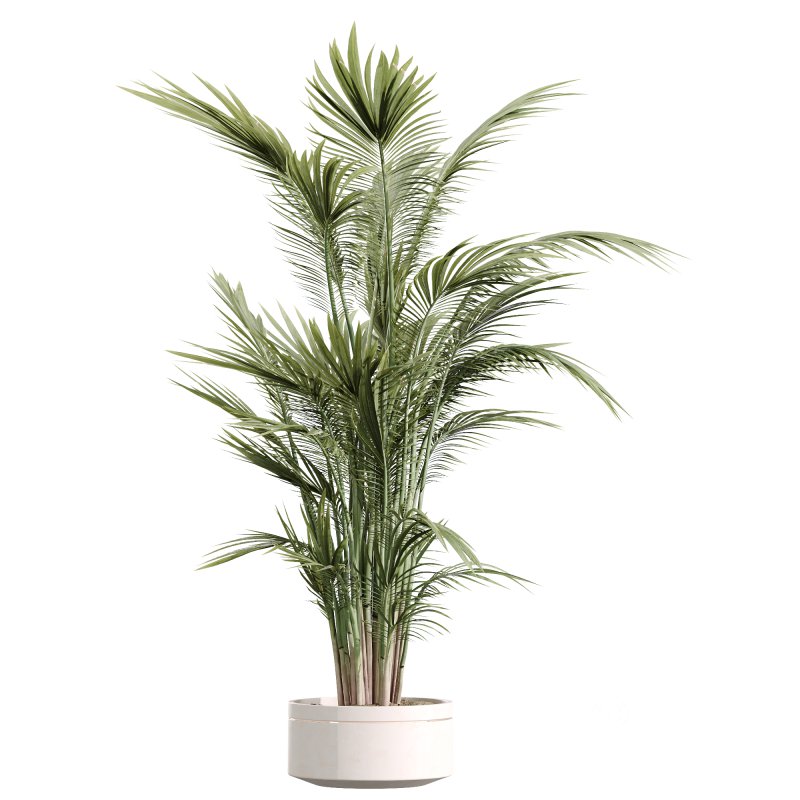 AV Indoor Plant Set 216 Olive Artificial Dracaena Warneckii Lemon Calathea Lutea Areca Palm Image 2