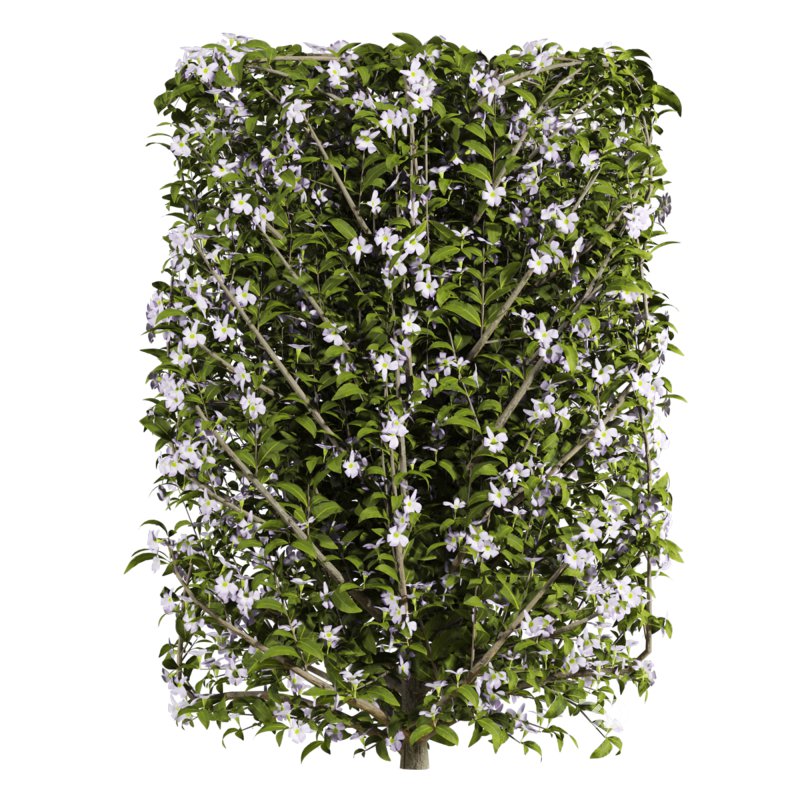 bush plants set Image 2