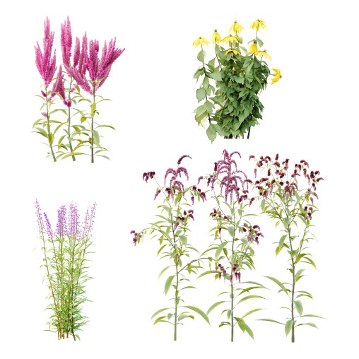 Different Grass 03