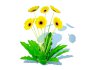 Gerbera – Gerbera Daisy_Yellow_Flower - Thumbnail 5