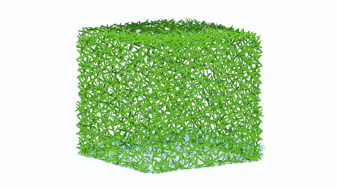 Taxus Media-Square Image 5