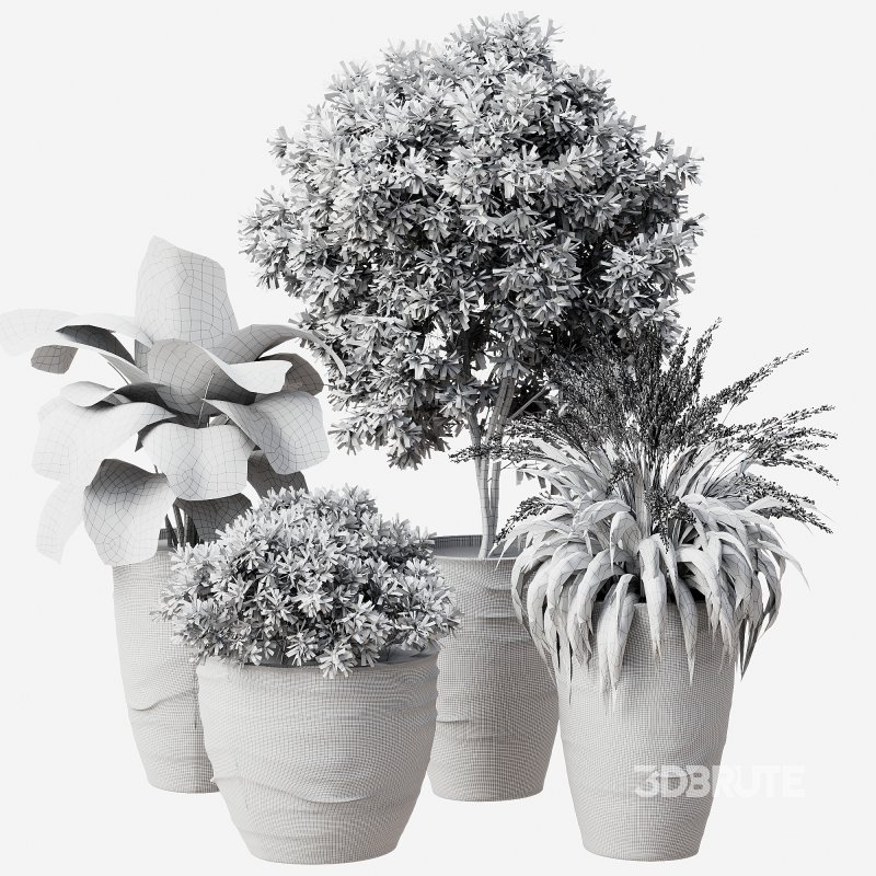 Outdoor Plant 42 Image 6