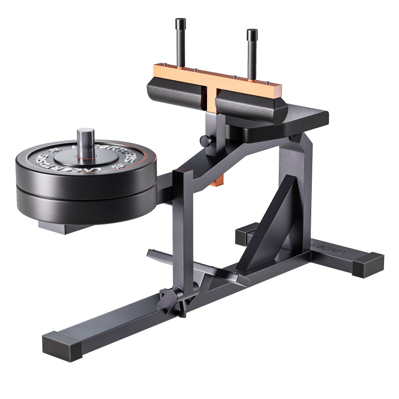 Seated Calf Machine Plate Loaded Image 3