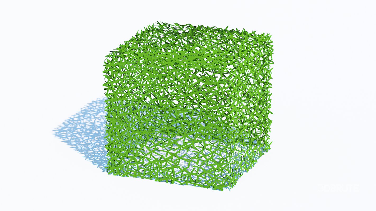 Taxus Media-Square Image 2