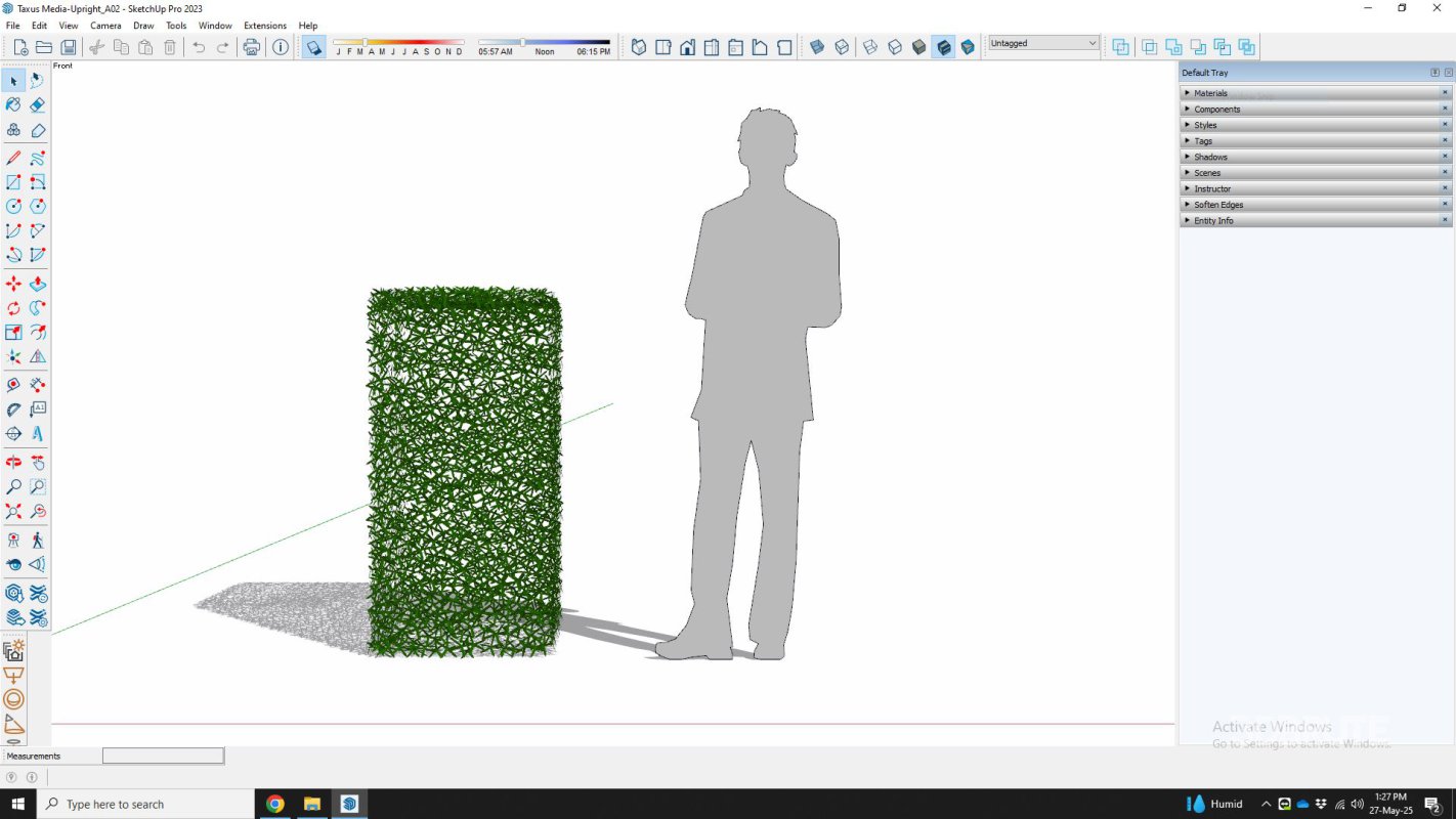 Taxus Media-Upright Image 6