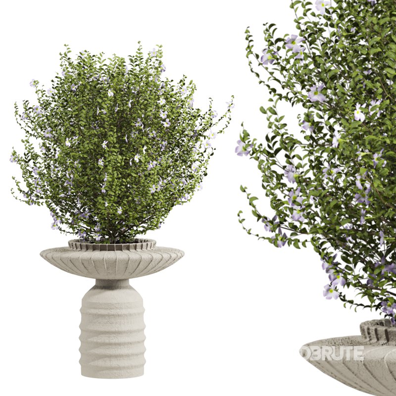 bush plants set Image 3