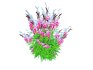Gaura lindheimeri Pink - Thumbnail 4