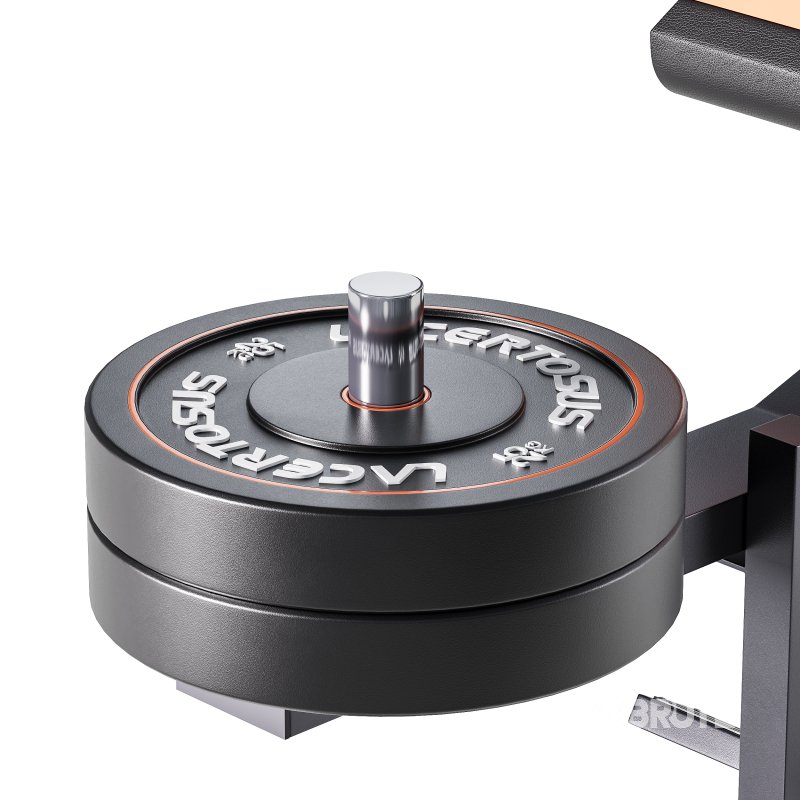 Seated Calf Machine Plate Loaded Image 4