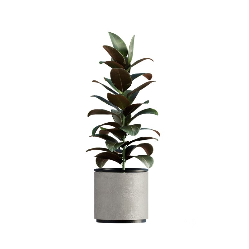 13 High Quality 3D Pot plants Image 10