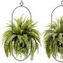 Hanging Houseplants in Metal Frames Set - Thumbnail 2