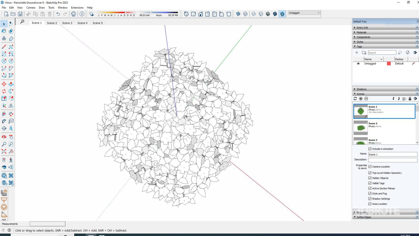 Vinca – Periwinkle Groundcover Image 6